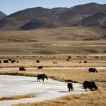 weichao-deng-YG8N4MRW76w-unsplash
